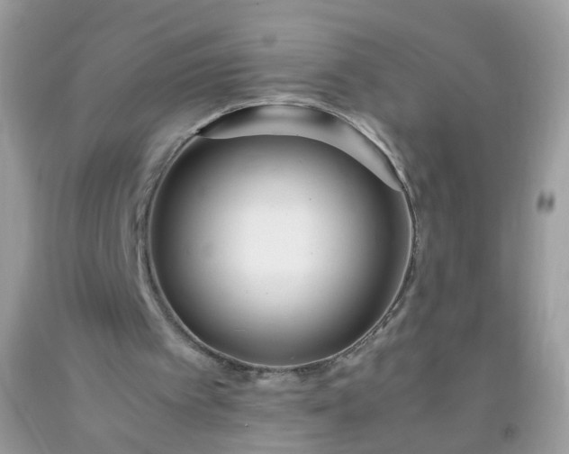 X0000093750097200710231240