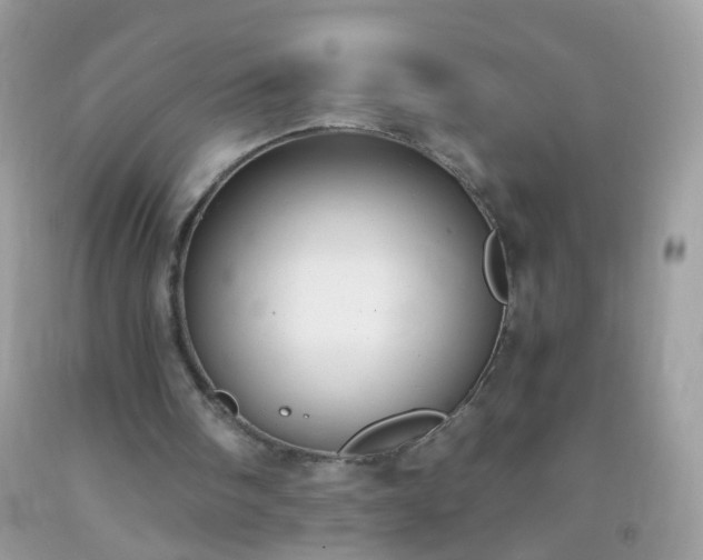 X0000093750098200710231240