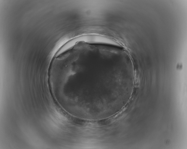 X0000093750099200710231240