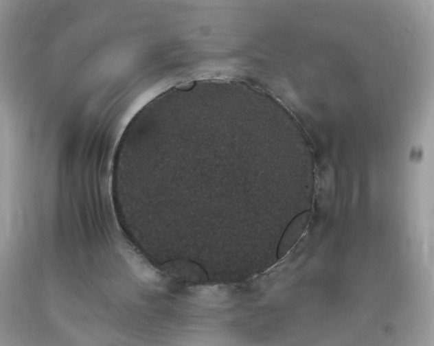 X0000093750100200710231240