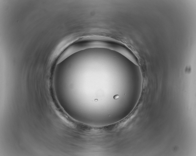 X0000093750101200710231240