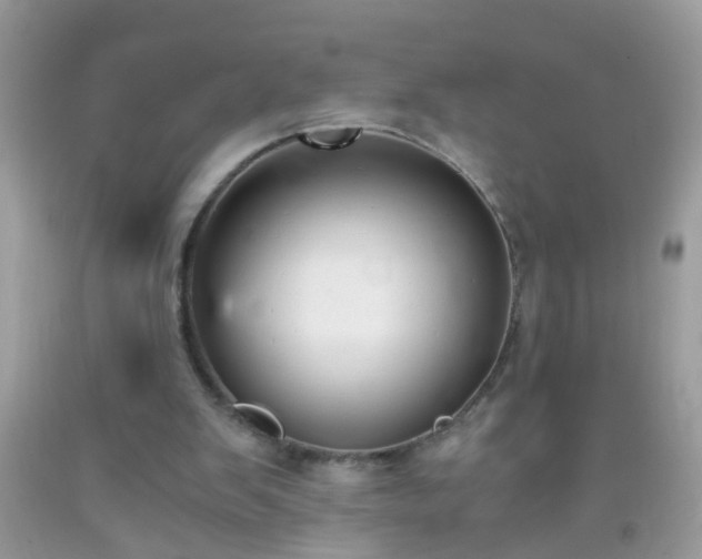 X0000093750103200710231240