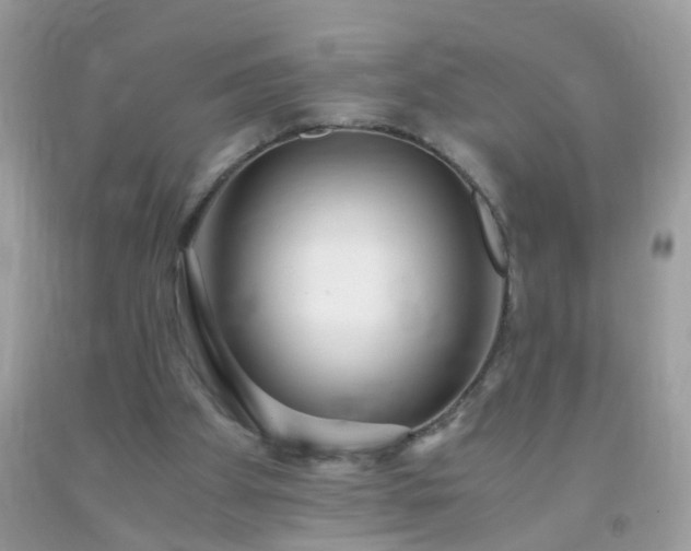 X0000093750105200710231240