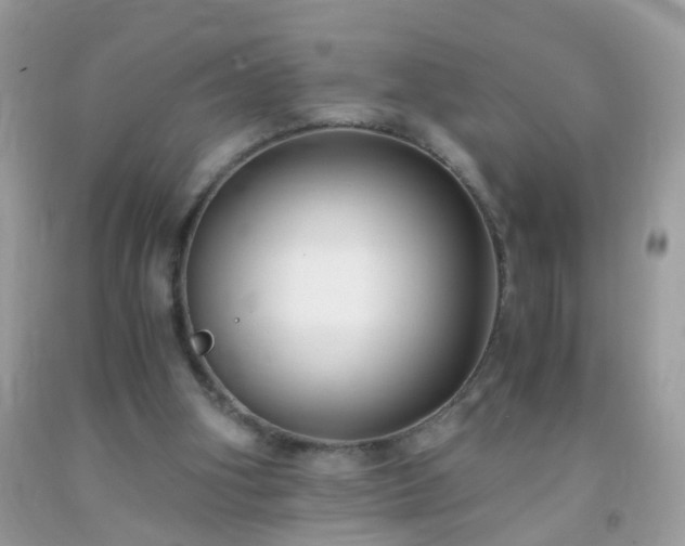 X0000093750106200710231240
