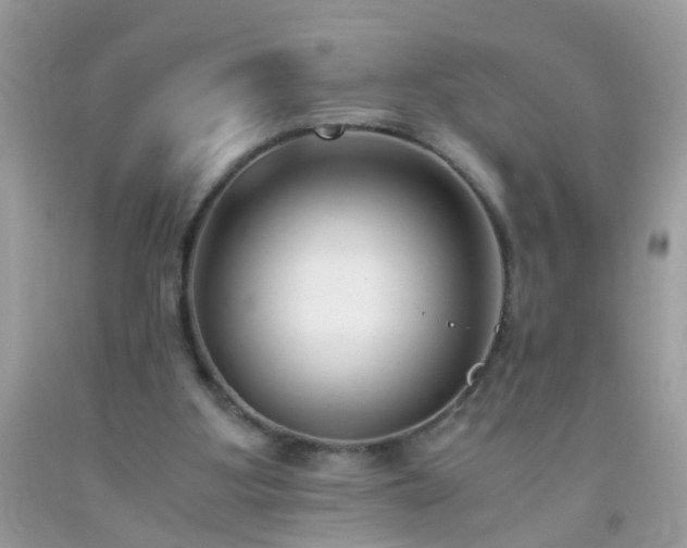 X0000093750107200710231240