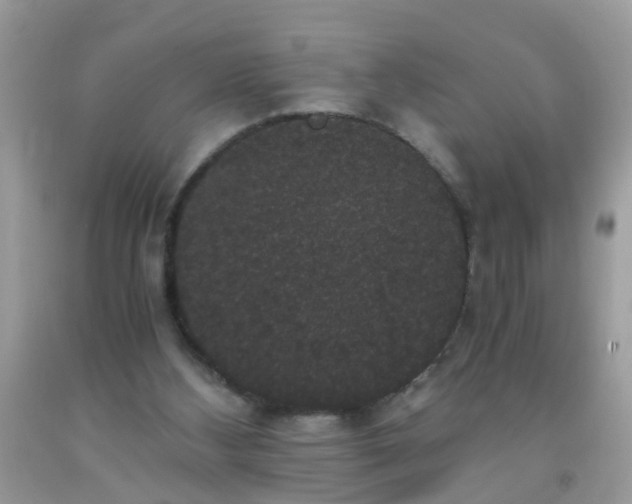 X0000093750108200710231240