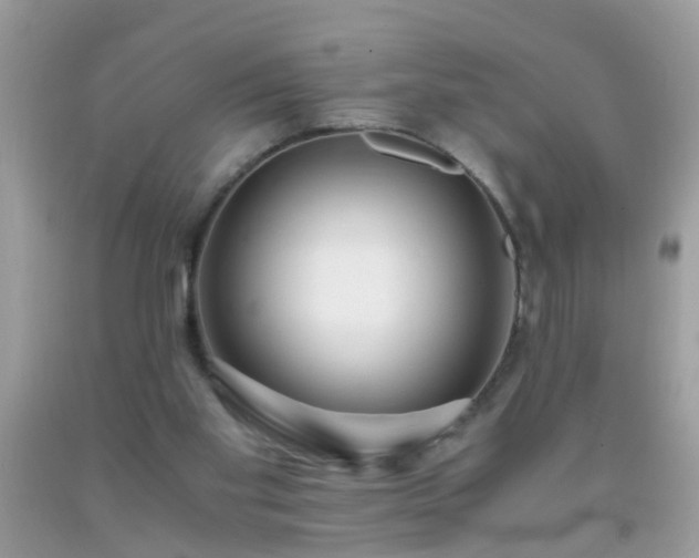 X0000093750109200710231240