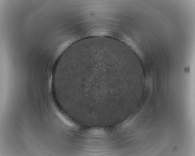 X0000093750110200710231240