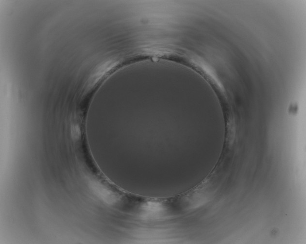 X0000093750114200710231240