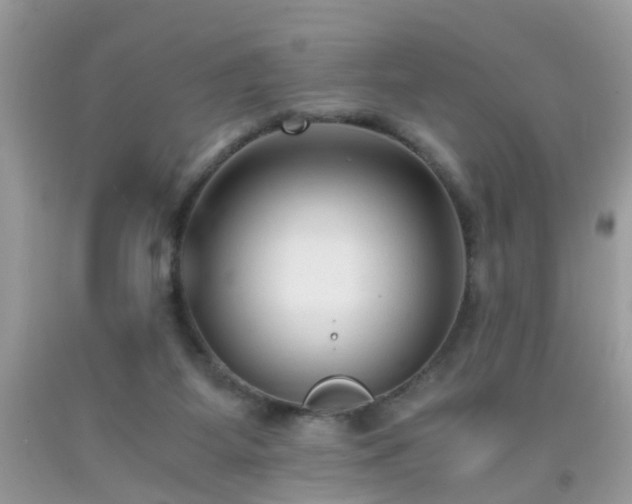 X0000093750115200710231240