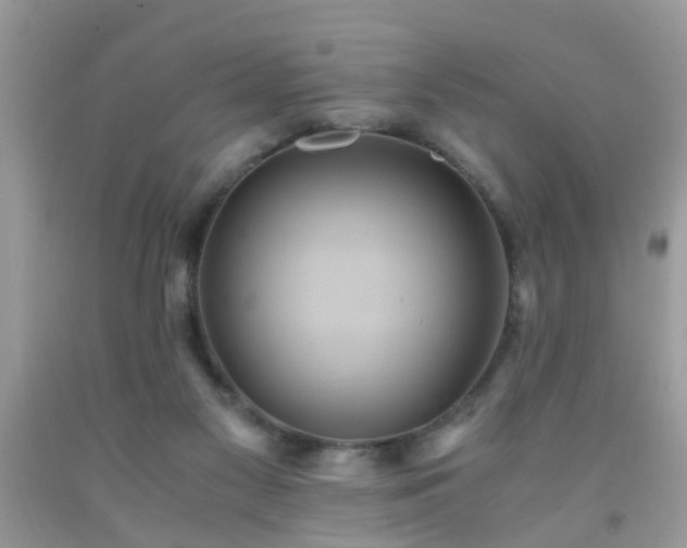 X0000093750117200710231240