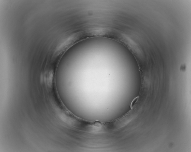 X0000093750118200710231240