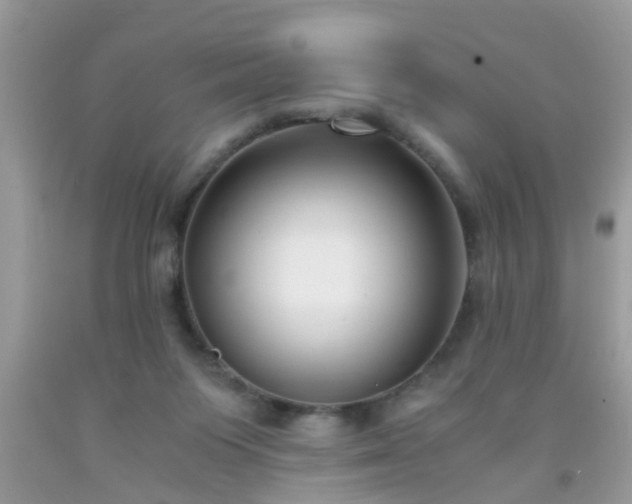 X0000093750119200710231240