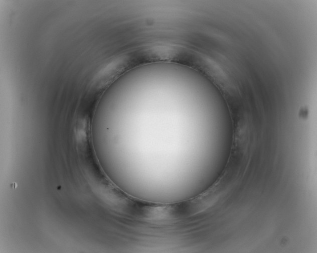 X0000093750122200710231240
