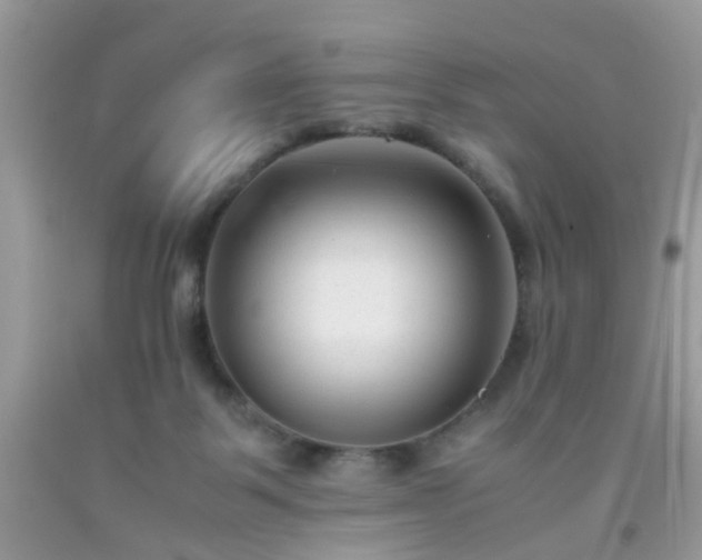 X0000093750123200710231240
