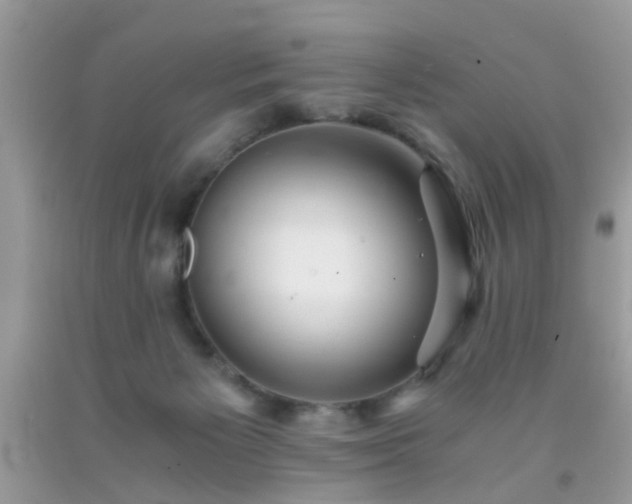 X0000093750125200710231240