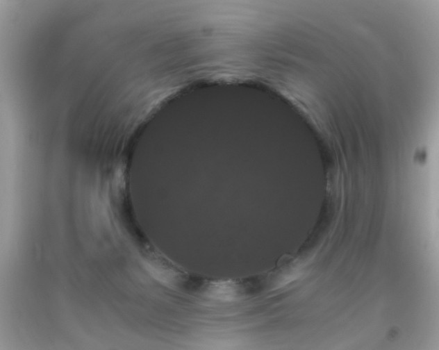 X0000093750127200710231240
