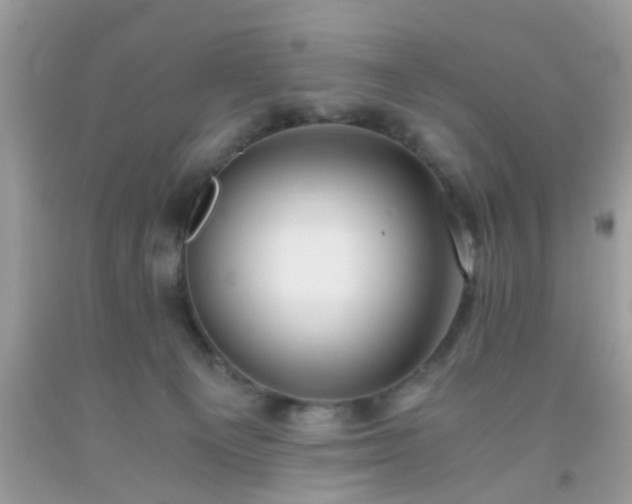 X0000093750129200710231240