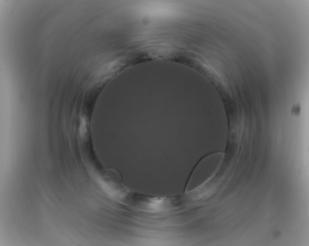 X0000093750130200710231240