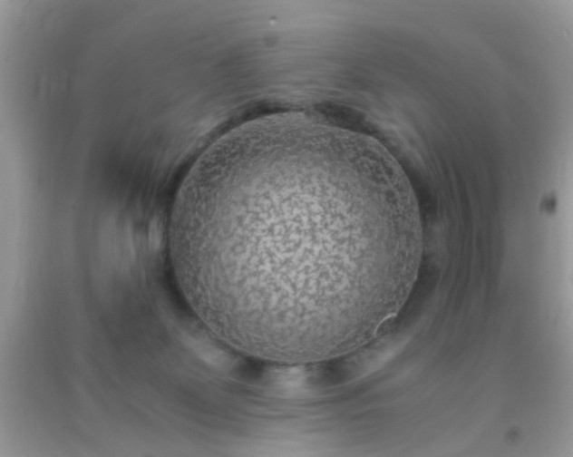 X0000093750131200710231240