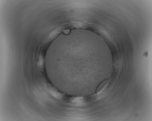 X0000093750132200710231240
