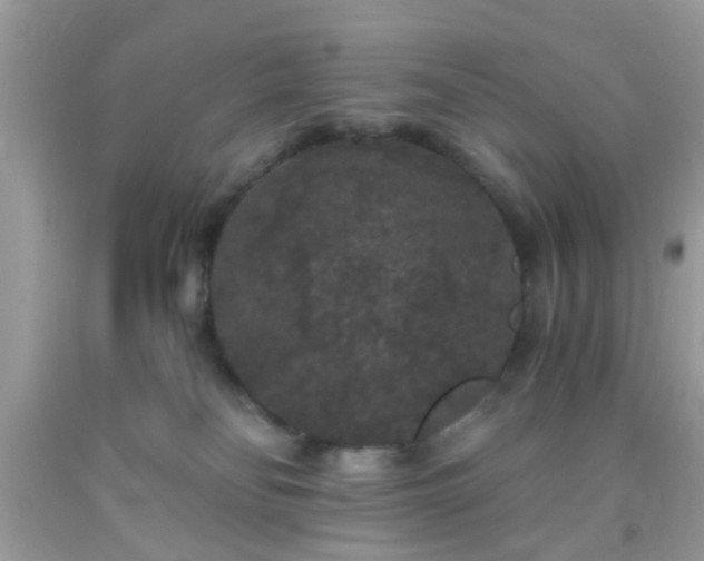 X0000093750134200710231240