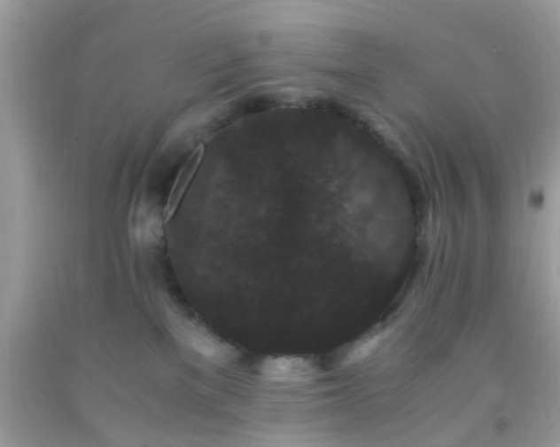 X0000093750137200710231240