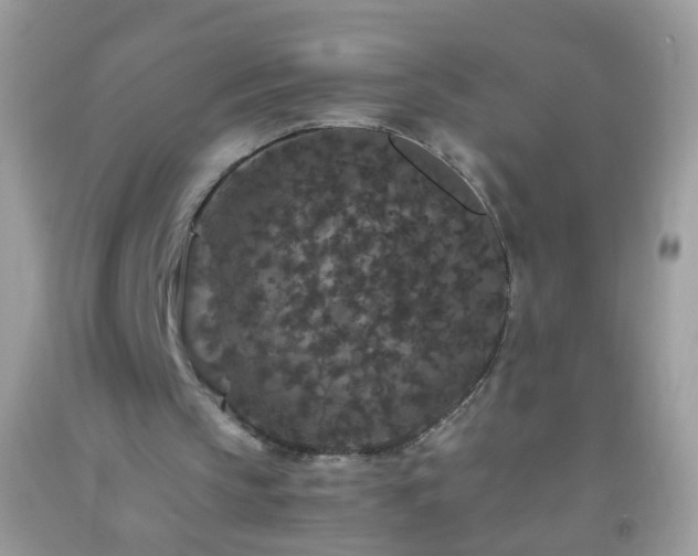 X0000093750145200710231239