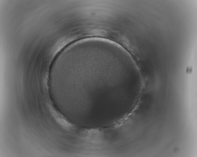 X0000093750146200710231239
