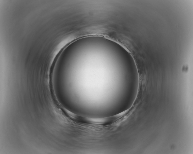 X0000093750148200710231239