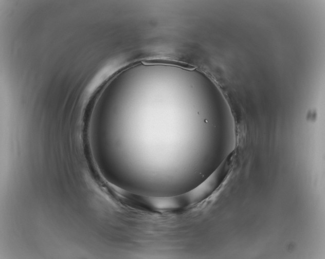 X0000093750150200710231239