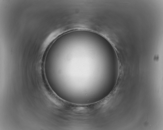 X0000093750151200710231239