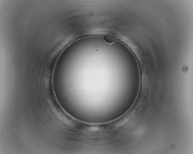 X0000093750153200710231239
