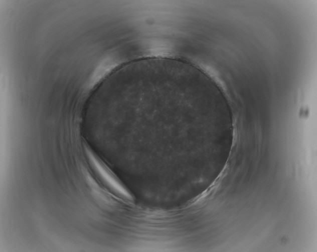X0000093750154200710231239