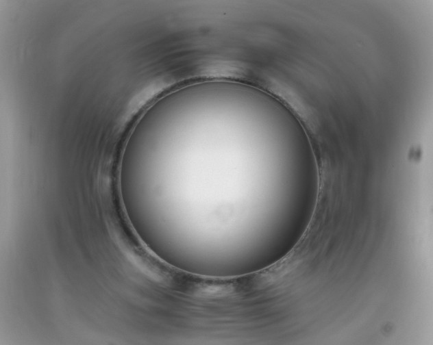 X0000093750155200710231239