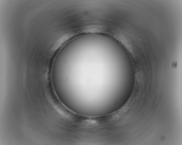 X0000093750159200710231239