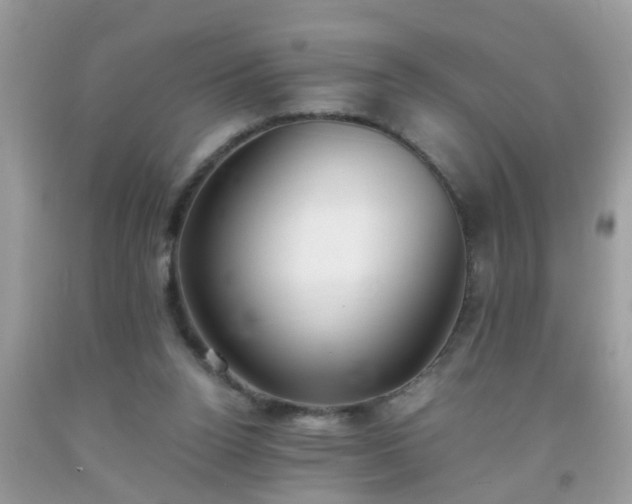 X0000093750160200710231239