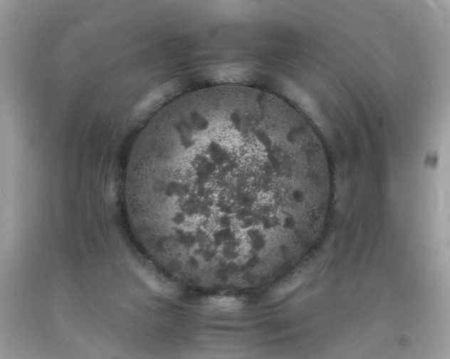 X0000093750161200710231239