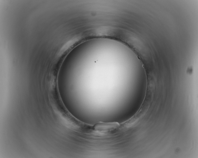 X0000093750164200710231239