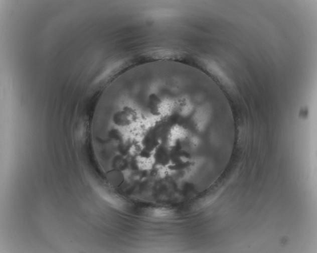 X0000093750165200710231239