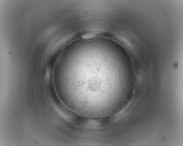 X0000093750166200710231239