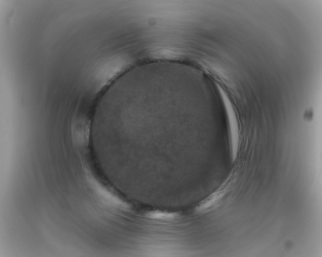 X0000093750168200710231239