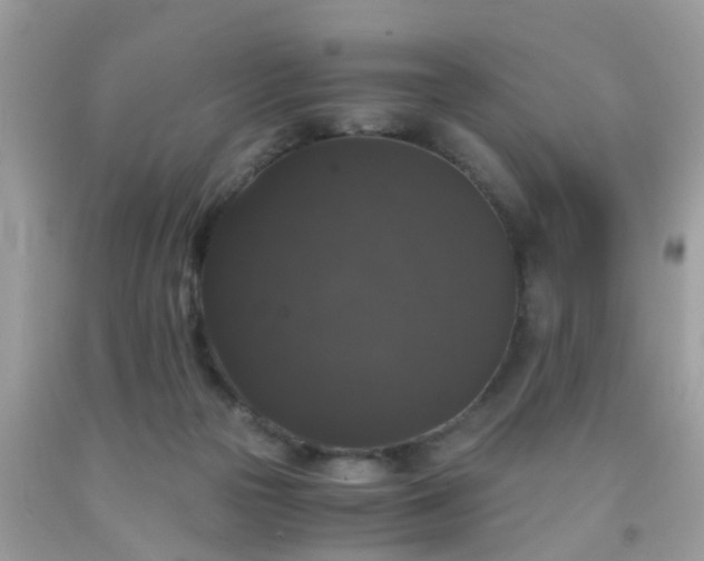 X0000093750169200710231239