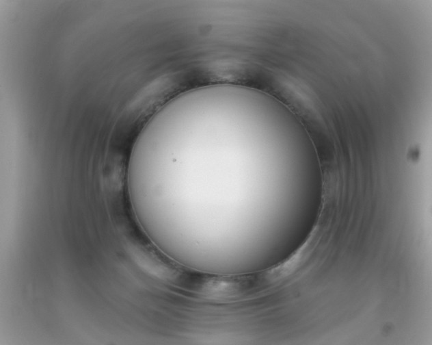 X0000093750174200710231240