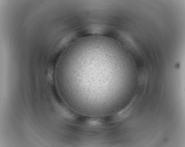 X0000093750175200710231240