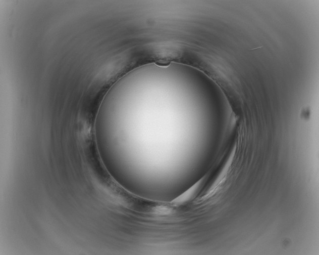 X0000093750176200710231240