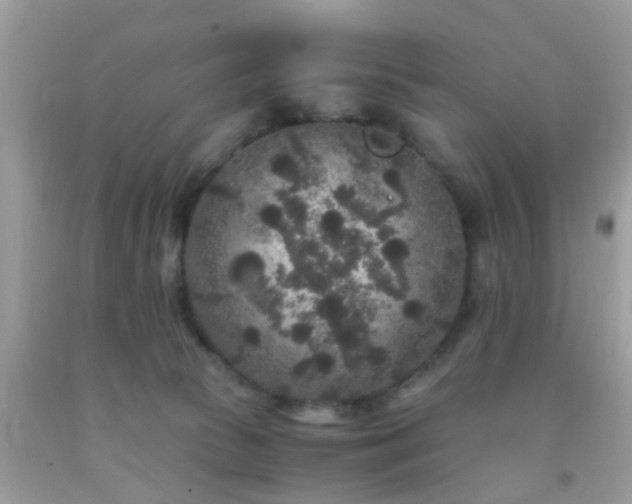 X0000093750177200710231240