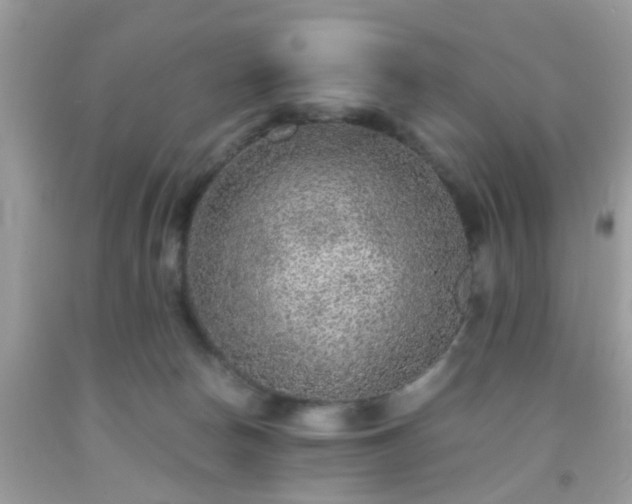 X0000093750178200710231240