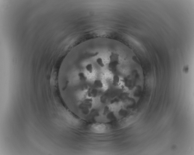 X0000093750181200710231240