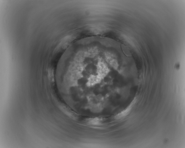 X0000093750182200710231240